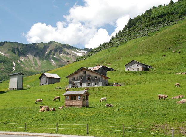 Alp- & Sennereibesichtigung auf der Alpe Tiefenwald