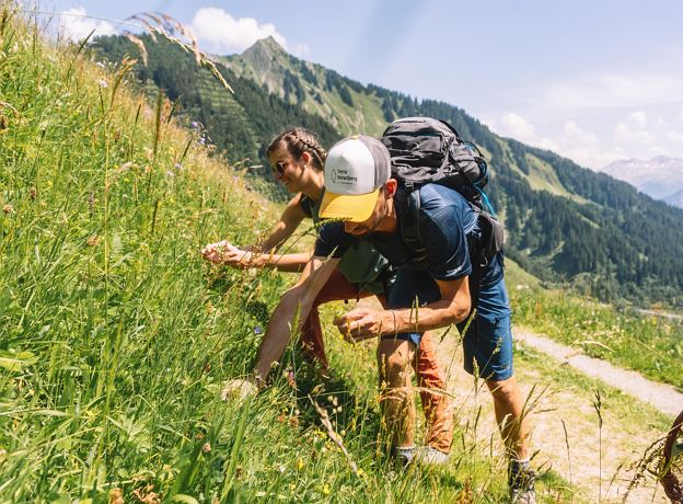 Kräuterwanderung in Fontanella mit Monika