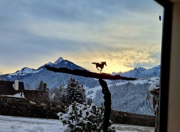 Meeting with the Horses