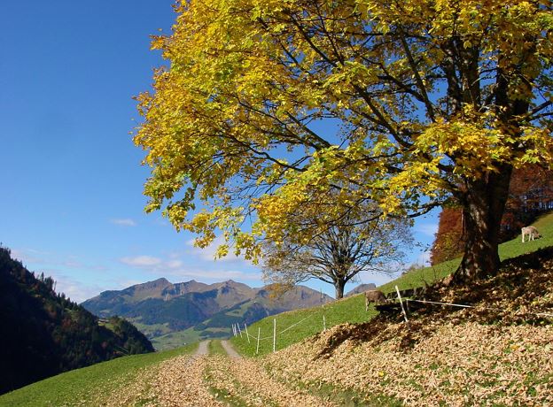 Walserherbst